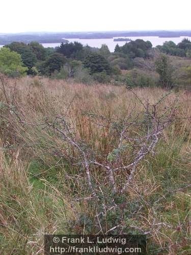 Lough Arrow